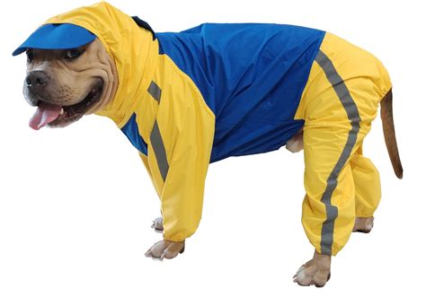 Doxters Full Coverage Dog Raincoat, Long Durability ToughCoat Royal Blue and Yellow » Doxters Lab