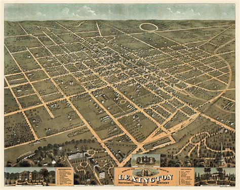 Antique Map of Lexington Kentucky by A. Ruger - 1871 Drawing by Blue ...