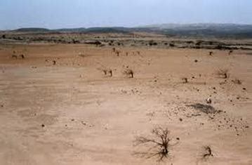 Information - Desertification In Africa