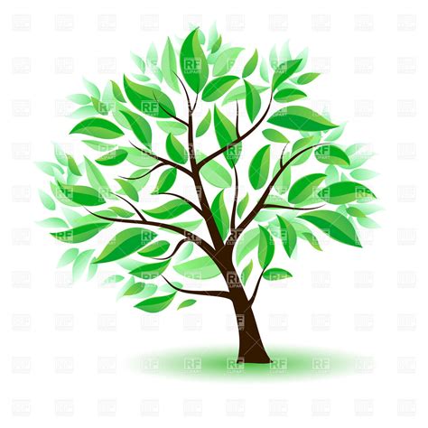 Cartoon Tree With Leaves images