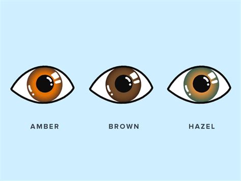 Amber Eyes: How Rare Are They? | Warby Parker