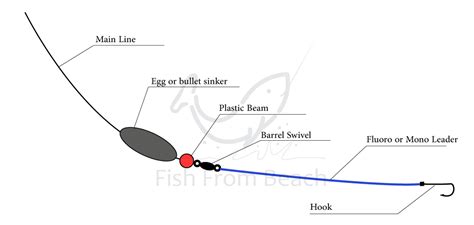 How to use the Carolina Rig for Surf Fishing ? – Fish From Beach