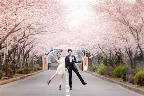 15 Charming Places to see Cherry Blossoms in Korea in the Spring I Boutique Adventurer