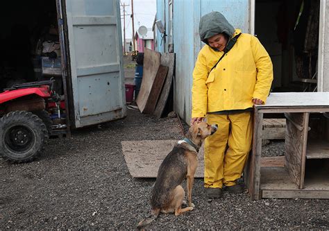 Kivalina, photos of the Alaskan village that could be gone by 2025 - LifeGate