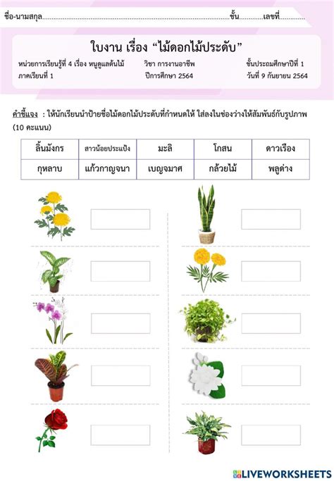 ใบงานเรื่อง ไม้ดอกไม้ประดับ ป.1 (09-09-21) online exercise for | Live Worksheets