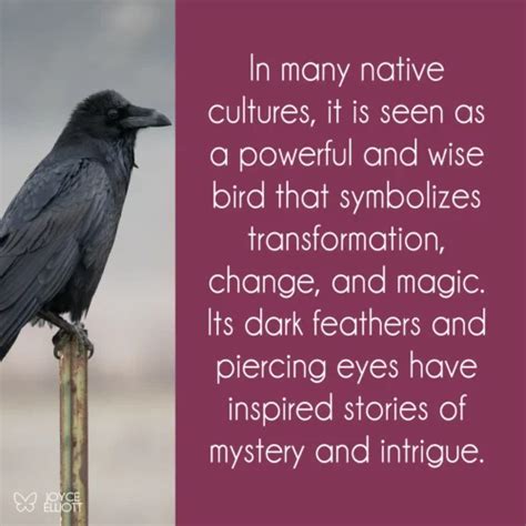 What Does a Raven Symbolize? 7 Symbolism of Death and Rebirth. - Joyce ...