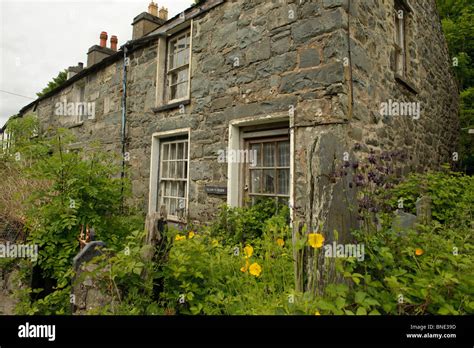 Abandoned overgrown cottage in Trawsfynydd village, Snowdonia National ...