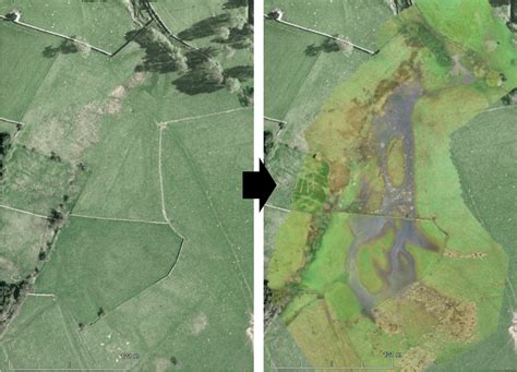 Flooding can help resurrect wetlands and slow climate change – here’s how – Geography Directions