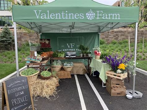 Best Canopy Tent for Farmers Market: A Guide for Vendors | Farmers ...