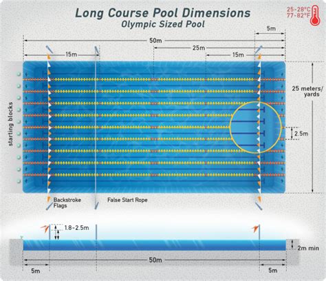 Length Of Standard Lap Pool