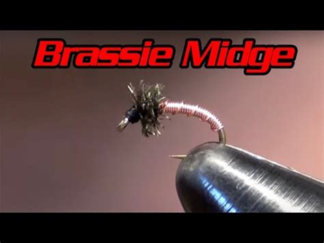 Brassie Midge Fly Tying - Easy Nymph For Beginner Fly Tyers - Classic ...