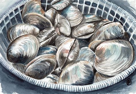 Bushel of Clams Watercolor Art Print Known as Quahogs in - Etsy