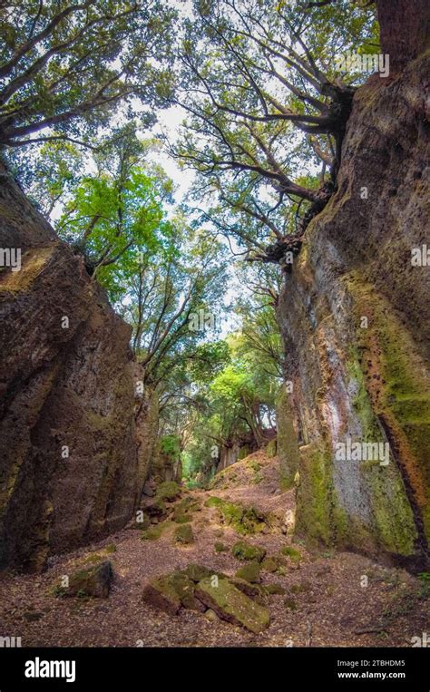 Cerveteri (Italy) - Beside Rome, Cerveteri is one of most important Etruscan cities with ...