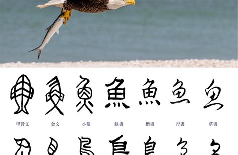 Best Chinese Calligraphy Generators Online - Shufa Life | Calligraphy generator, Chinese ...