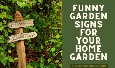 Funny Garden Signs for Your Home Garden - The Backyard Bloom