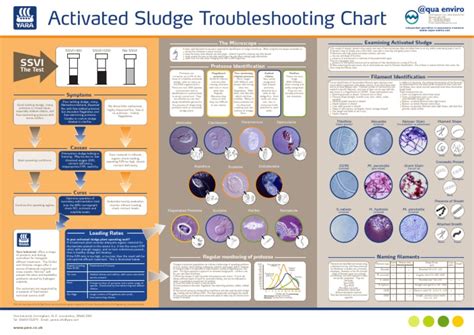 Activated-Sludge-Troubleshooting-Chart (1).pdf | Protozoa | Organisms