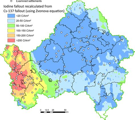 Spatial distribution of examined settlements in the Bryansk region ...