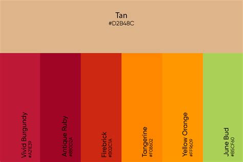 Tan Color: Its Meaning, Codes, and Top Palette Ideas - Picsart Blog