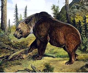 Atlas Bear Facts, Habitat, Pictures, Range and Diet