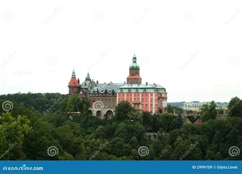 Castle stock image. Image of tower, europe, historic, forest - 2999709