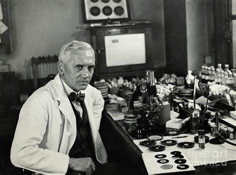 Alexander Fleming Working In Laboratory Photograph by Bettmann - Fine Art America