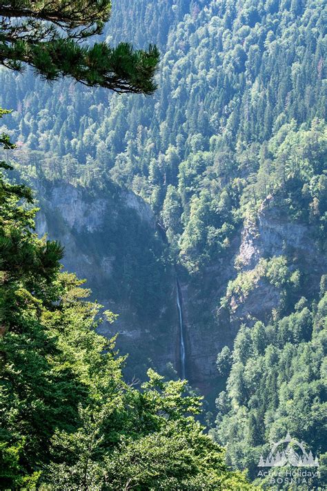 Primeval forest Perucica National park Sutjeska | Places to visit ...