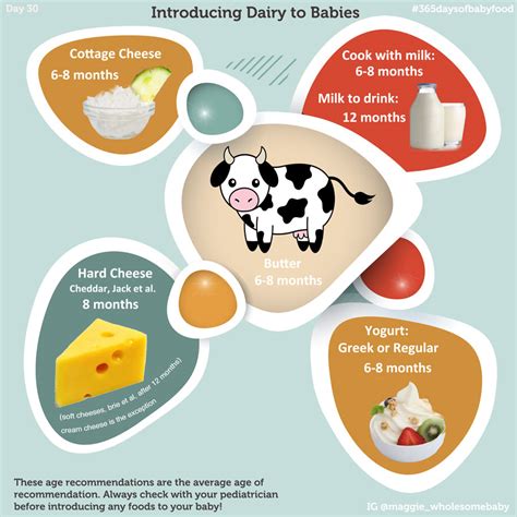 Day 30 – Dairy Infographic, When to introduce milk and dairy products – 365 Days of Baby Food ...