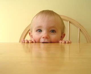 matthew_chewing_table | Mathew gnawing on our kitchen table.… | Flickr