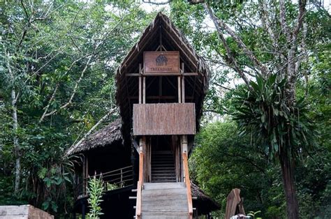 A Treehouse Stay in the Amazon Jungle | The Travelbunny