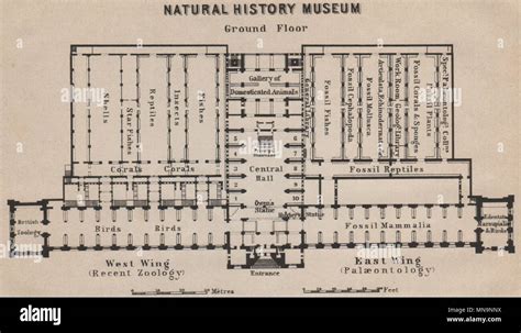 Natural History Museum London Floor Plan - floorplans.click