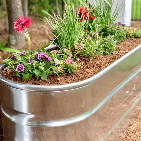 Transform a Water Trough into a Planter | Water trough, Garden troughs ...