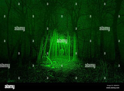 Night Vision Image of Bigfoot Stock Photo - Alamy