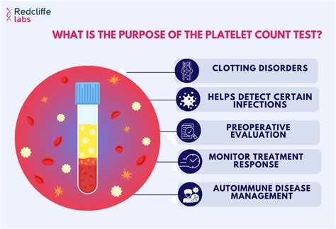 Platelet Count Test - Price, Purpose, Preparation, Result 2024