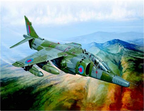RAF Sea Harrier, Falklands War Air Force Aircraft, Jet Aircraft, Aircraft Art, Military Jets ...