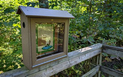 Rondeau Provincial Park: Camping, Hiking & More Fun On Lake Erie » I've Been Bit! Travel Blog