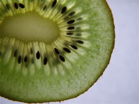 Slice Of Kiwi Fruit Free Stock Photo - Public Domain Pictures