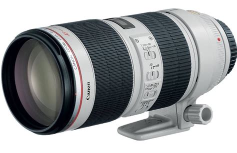 Canon EF 100-400mm f/4.5-5.6L IS vs EF 70-200mm f/2.8L IS II (with 2x converter), which one is ...