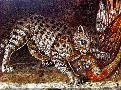 Cat Mosaic from Pompeii | Roman History