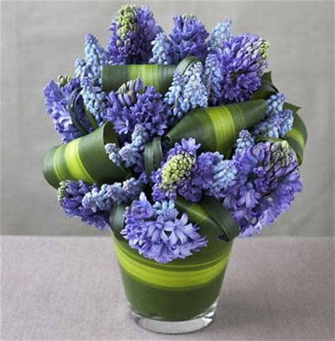 143 best Hyacinth arrangements images on Pinterest | Floral ...