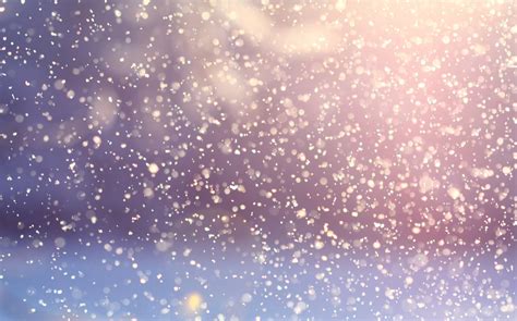 Snowfall Free Photo Download | FreeImages