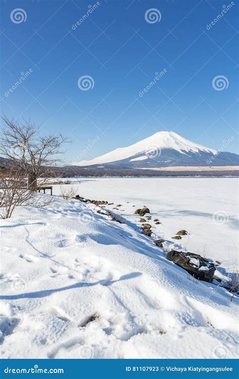 Mountain Fuji winter stock image. Image of calm, nature - 81107923