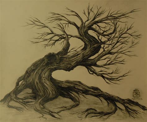 Pin by Gail Brasher on Trees | Tree drawing, Tree sketches, Twisted tree