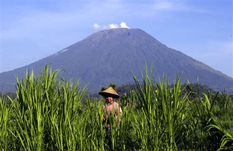 Bali volcano's alert status lowered after decreased activity