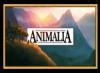 Animalia (2007 TV Show) - Behind The Voice Actors