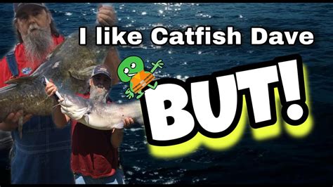 CATFISH DAVE i like / BUT ? - YouTube