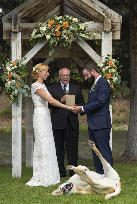 Dog Photobombs Wedding Photo | POPSUGAR Family