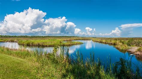 Vacation Homes near Bon Secour Bay, Alabama: House Rentals & More | Vrbo