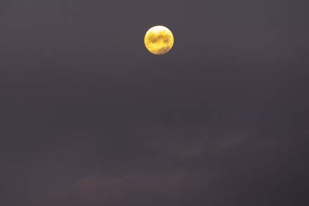 91 2023 wolf moon Stock Pictures, Editorial Images and Stock Photos | Shutterstock