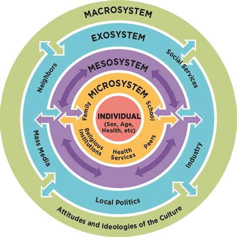 Human Services Client Interaction: Ecosystem & Strength Perspectives - HubPages