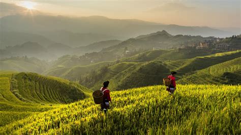 How livelihoods in rural China have improved since 2015 - CGTN